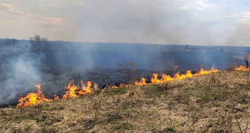 В Костромской области случился лесной пожар