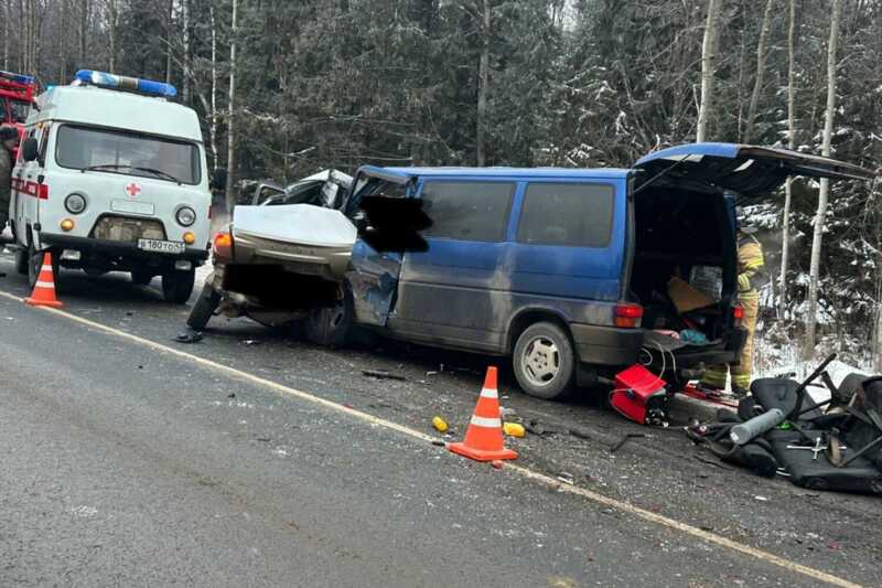 В Кировской области произошло ДТП с участием микроавтобуса, в результате которого погибли три человека