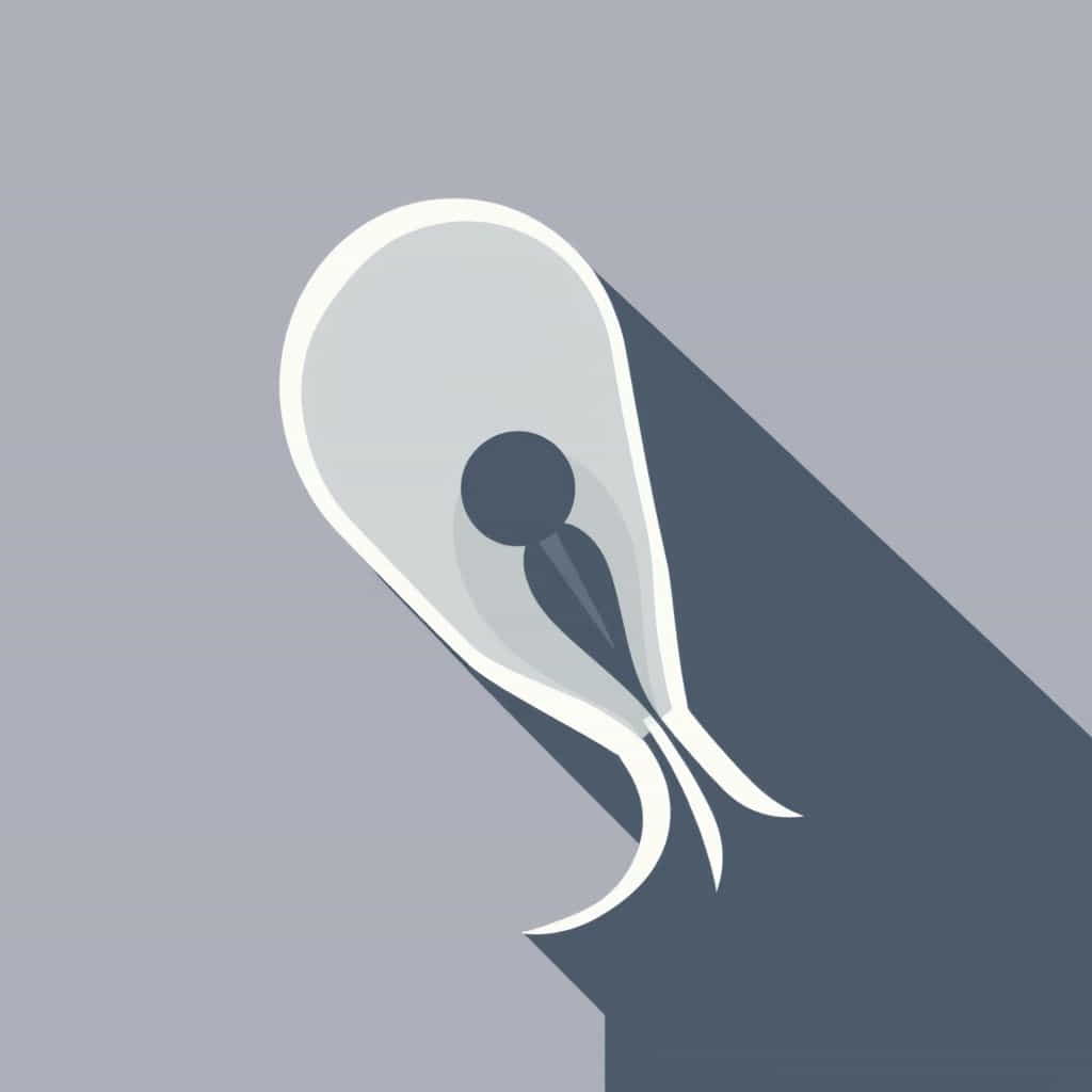 Function Of Flagellum In Sperm Cell